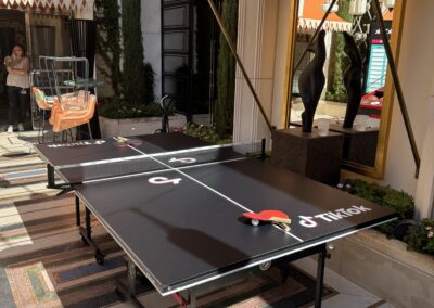 Ping Pong Table