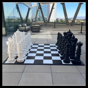 Giant Chess Game