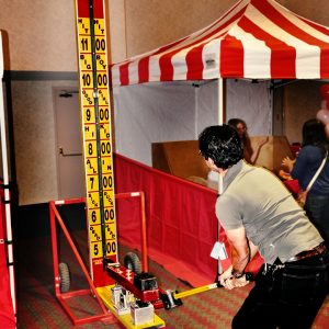 High Striker 10 Foot