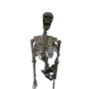 Skeleton Brown Half