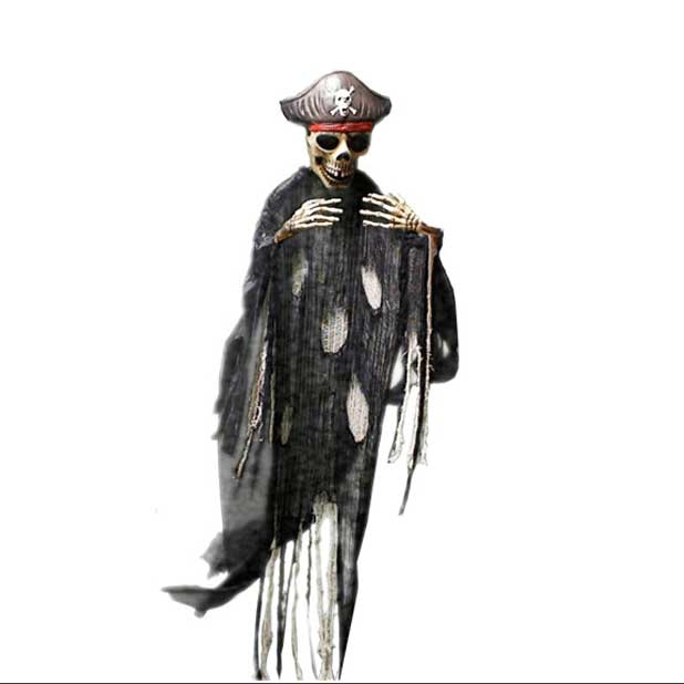 Pirate Skeleton