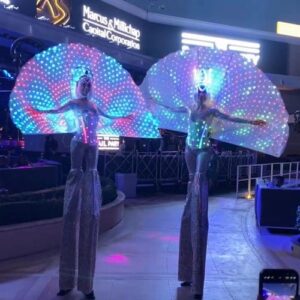 LED Wings on Stilts