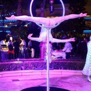 LED Spinning Lollipop