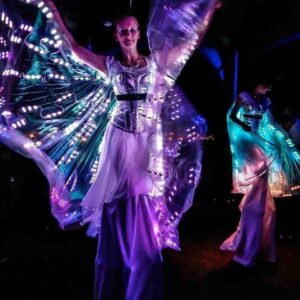 LED Butterfly Wings